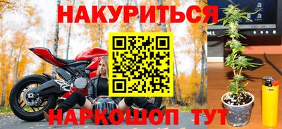 мяу мяу мука Гатчина