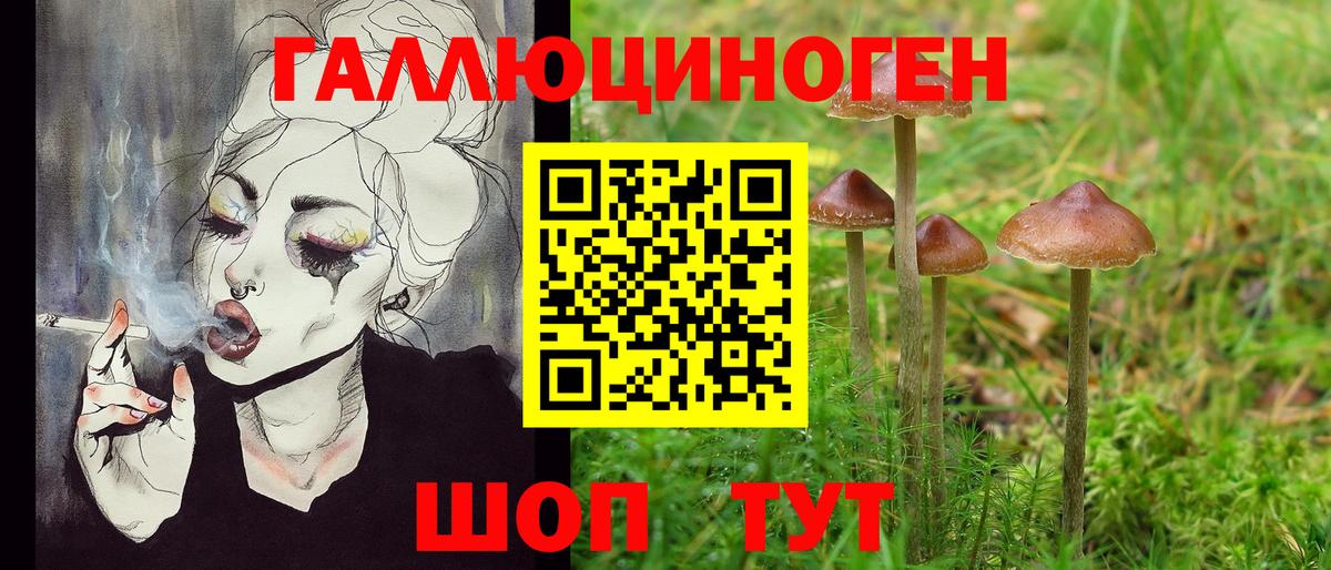 Галлюциногенные грибы Magic Shrooms  Галлюциногенные грибы мухоморы  Ярцево  Вход с VPN 