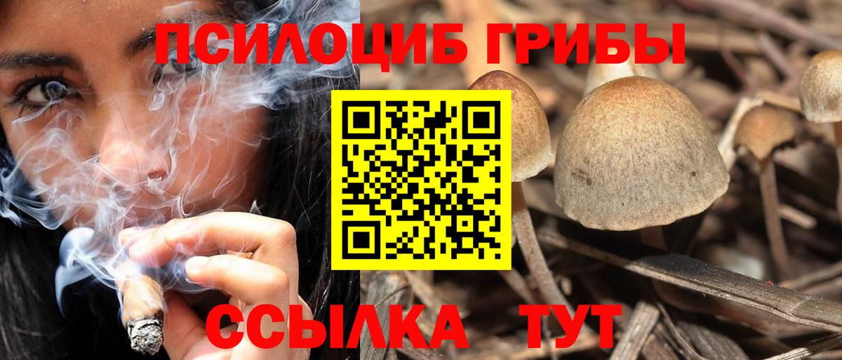Псилоцибиновые грибы ЛСД Ярцево